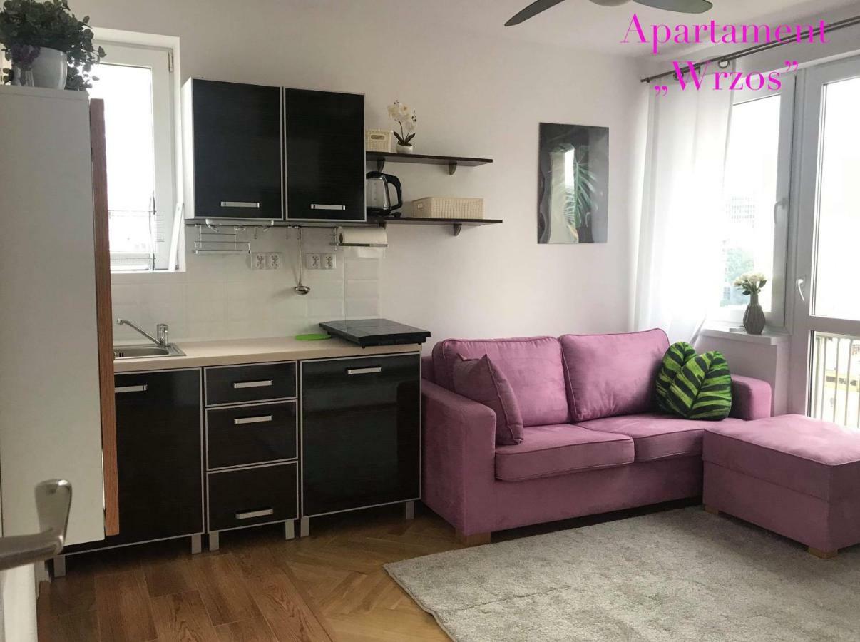 Deluxe Panska Apartments 바르샤바 외부 사진